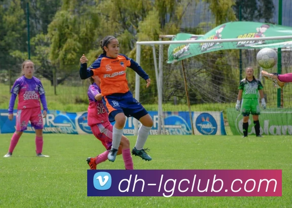 老哥俱乐部官网平台生态图